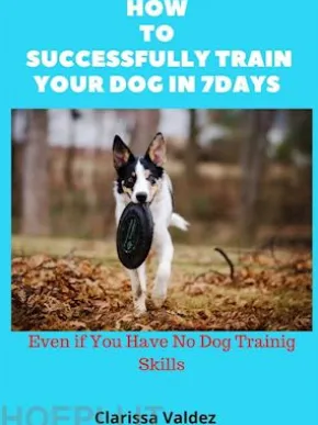How to Successful Train Your Dog in 7days