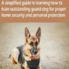HOW TO TRAIN GUARD DOG