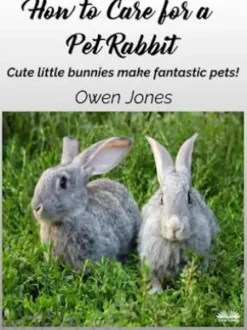 How To Care For A Pet Rabbit