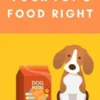 How To Get Your Pet's Food Right