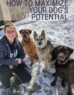 How to Maximize Your Dog's Potential