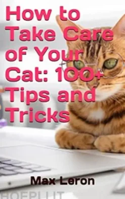 How to Take Care of Your Cat: 100+ Tips and Tricks