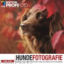 Hundefotografie