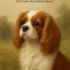 Hundewelten - Der Cavalier King Charles Spaniel