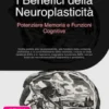 I Benefici della Neuroplasticità: Potenziare Memoria e Funzioni Cognitive