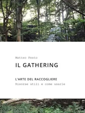 Il gathering