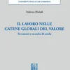 Il lavoro nelle catene globali del valore - e-Book