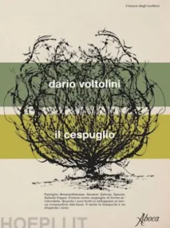 Il cespuglio