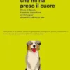 Il randagio che mi ha preso il cuore