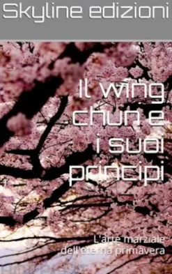 Il wing chun e i suoi principi