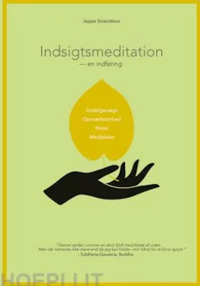 Indsigtsmeditation