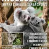 Inglese Per Bambini - Impara L'Inglese Senza Sforzo