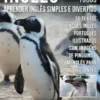 Inglês para todos - Aprender Inglês Simples e Divertido
