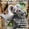 Inglés sin barreras - Aprende nuevas palabras en Inglés