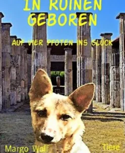 In Ruinen geboren