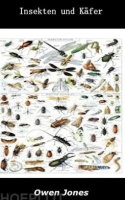 Insekten Und Käfer