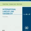 International Labour Law Handbook - e-Book