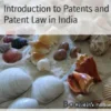 Introduction to Patents and Patent Law in India