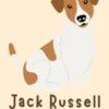 Jack Russell Terrier