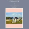 Journal d'un cavalier