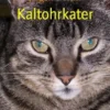 Kaltohrkater