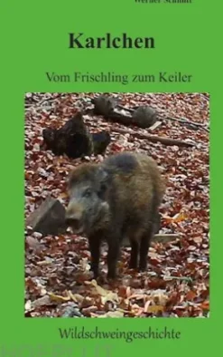 Karlchen, vom Frischling zum Keiler