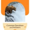 Katmai National Park