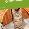 Katzenaugen können Herzen rauben