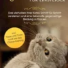 Katzenerziehung für Einsteiger: Das Verhalten Ihrer Katze Schritt für Schritt verstehen und eine liebevolle gegenseitige Bindung aufbauen - inkl. Tipps und Tricks rund um das Clickertraining