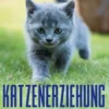 Katzenerziehung für Anfänger: Wie Sie Ihre Katze Schritt für Schritt erziehen, pflegen und eine enge Bindung aufbauen - inkl. Clickertraining für Katzen und den besten Stubenrein - Tipps