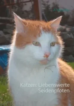 Katzen: Liebenswerte Seidenpfoten