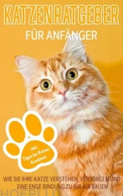 Katzenratgeber für Anfänger