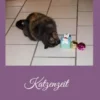 Katzenzeit