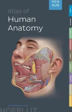 Kenhub Atlas of Human Anatomy