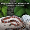 Kingsnakes and Milksnakes
