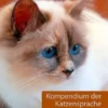 Kompendium der Katzensprache