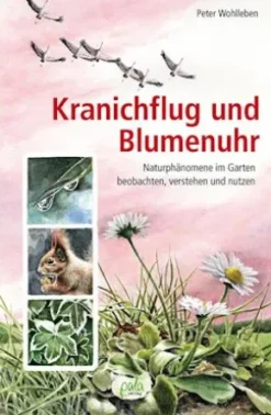Kranichflug und Blumenuhr