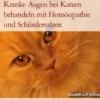 Kranke Augen bei Katzen behandeln mit Homöopathie und Schüsslersalzen