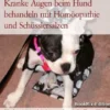 Kranke Augen beim Hund behandeln mit Homöopathie und Schüsslersalzen