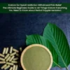 kratom: Kratom for Opioid Addiction Withdrawal Pain Relief (The Ultimate Beginners Guide to All Things Kratom Everything You Need to Know about Herbal Supplementation)