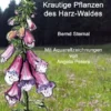 Krautige Pflanzen des Harz-Waldes