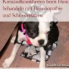 Kreislaufkrankheiten beim Hund behandeln mit Homöopathie und Schüsslersalzen