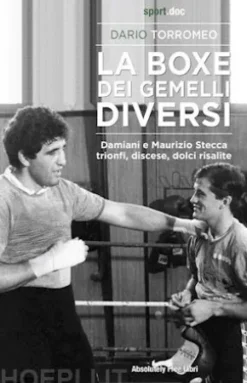 La boxe dei gemelli diversi