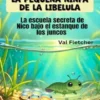 La pequeña ninfa de la libélula