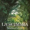 La scimmia