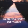 La bianca notte dei passeri