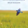 La Libertà del Perdono