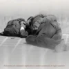 LaMetamorfosi - nuova traduzione - riassunti - audio commenti