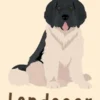 Landseer