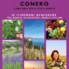 La Riviera del Conero come una Spa a cielo aperto